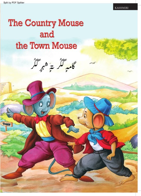 The Country Mouse and the Town mouse